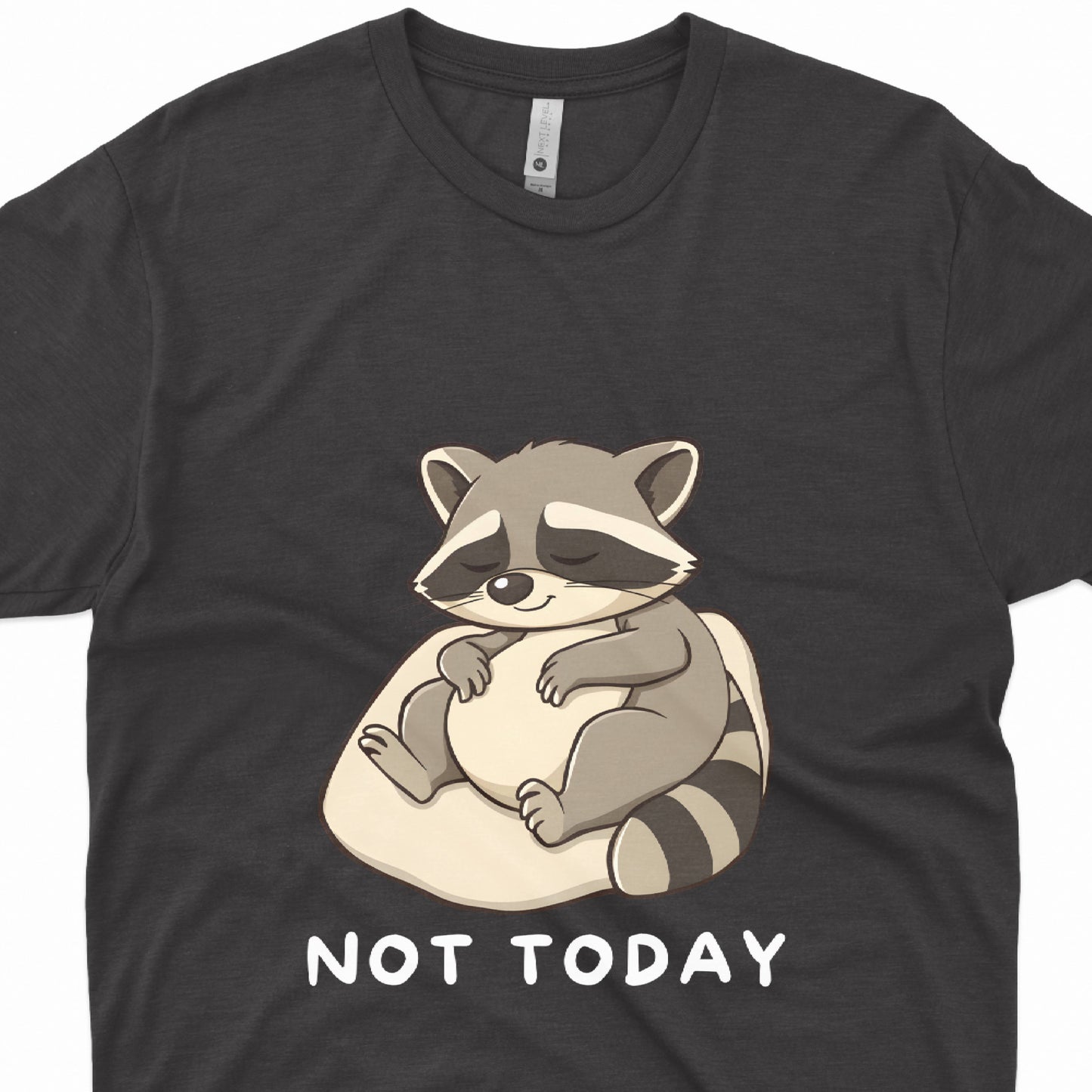 Lazy_Raccoon_Short_Sleeve_T-Shirt_With_Ultra_Soft-Cotton_For_Men_And_Women_Style