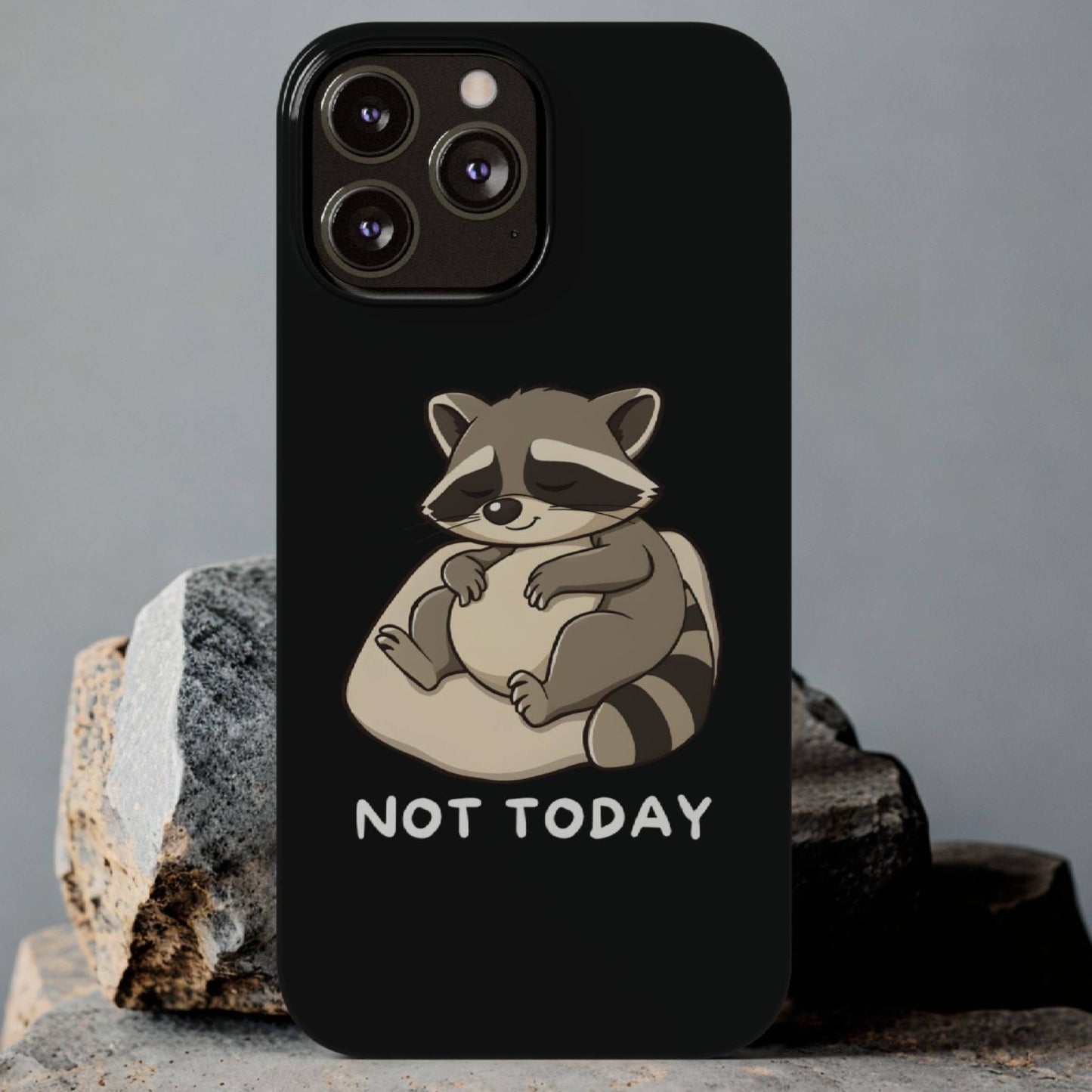 Lazy Raccoon iPhone Case - StoreCuriosity